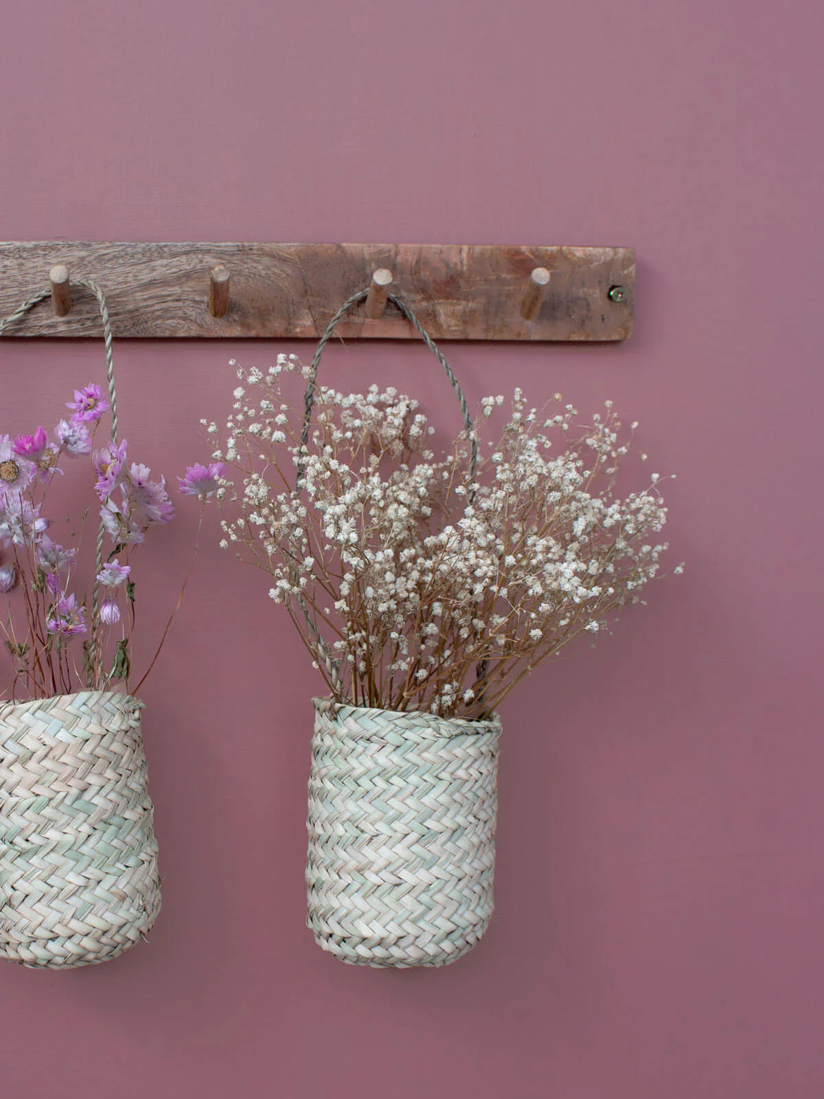 Mini Hanging Basket Pot
