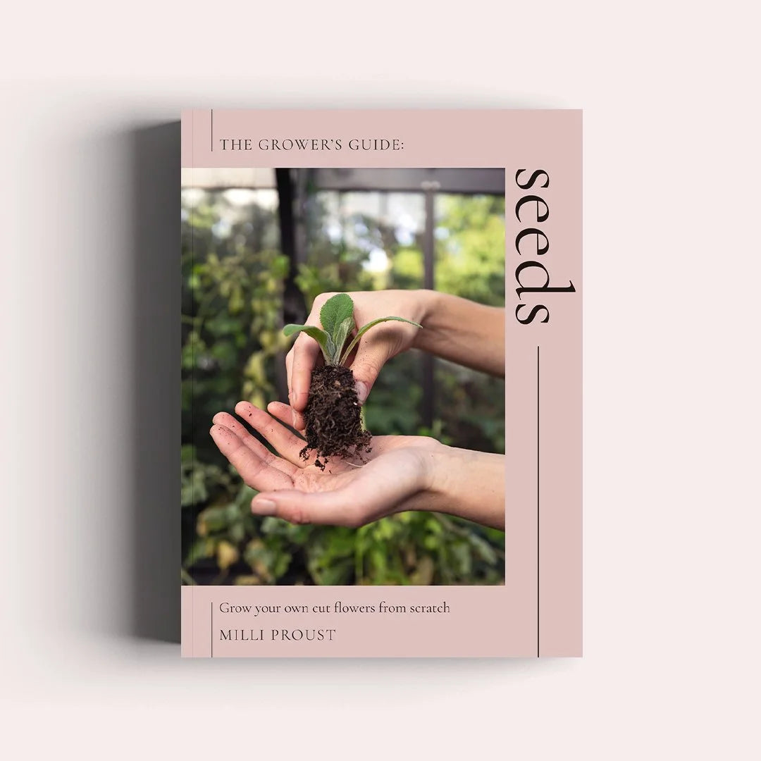 Seeds - By Milli Proust
