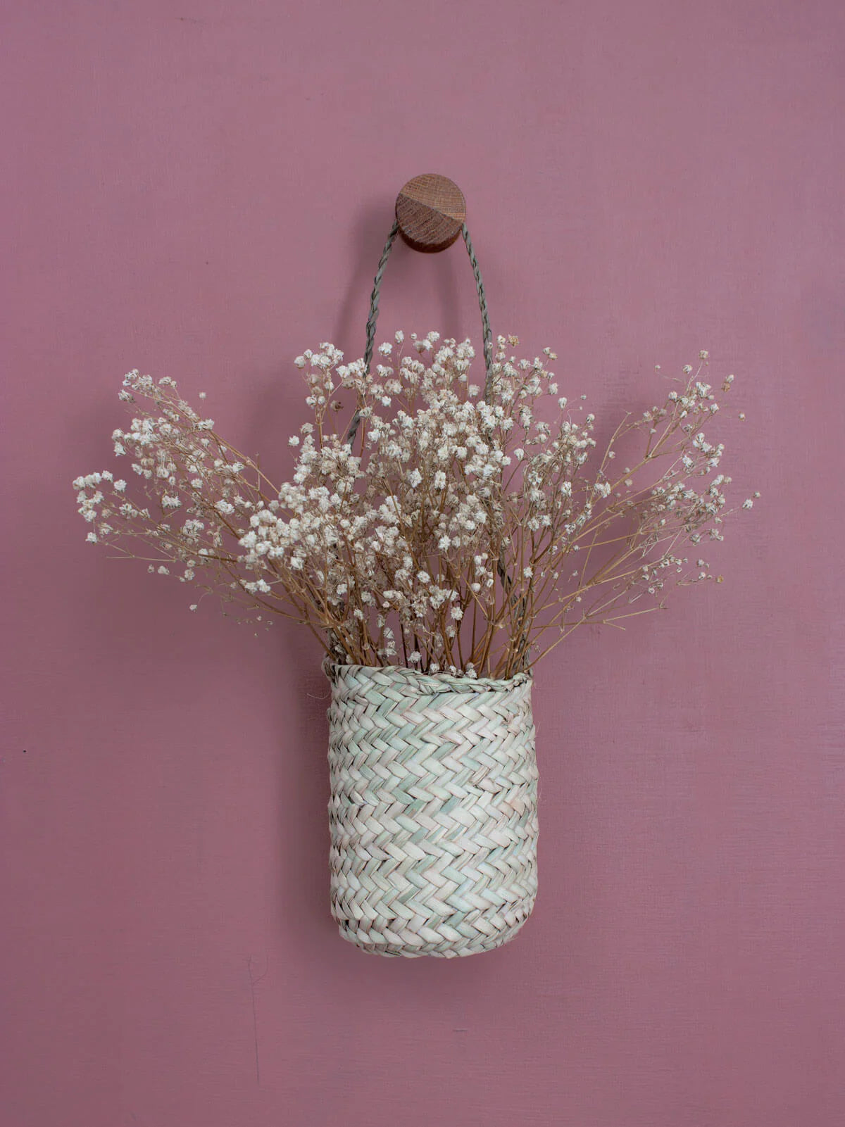 Mini Hanging Basket Pot