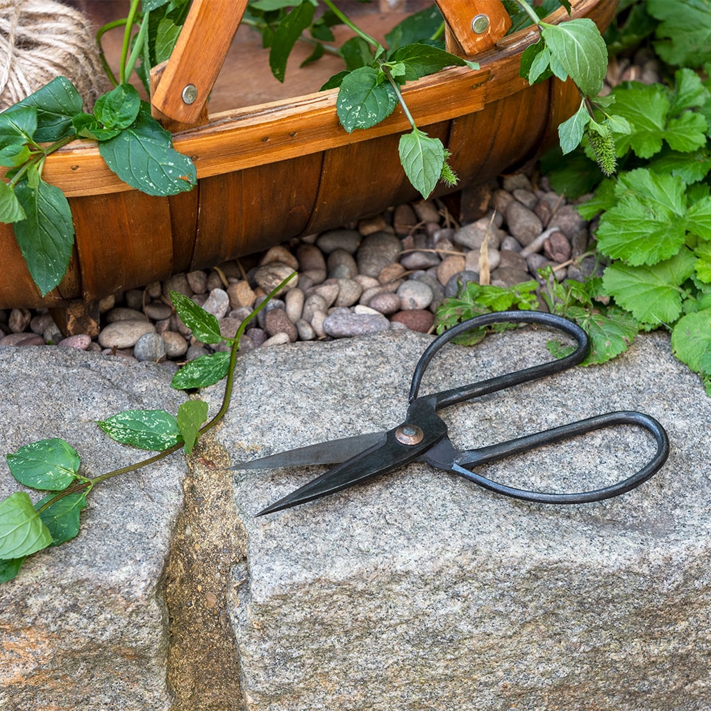 Garden Scissors