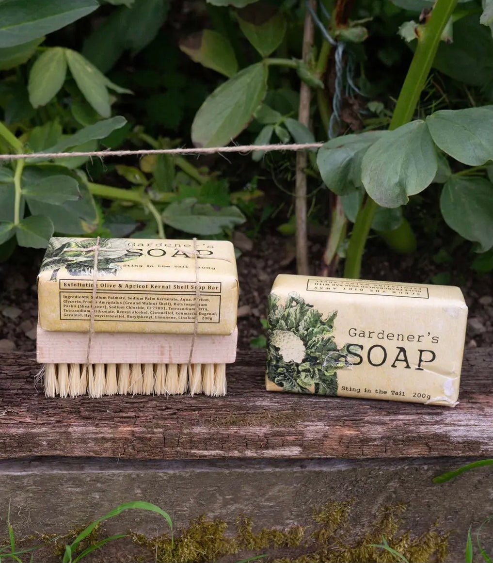 Gardeners Soap & Brush