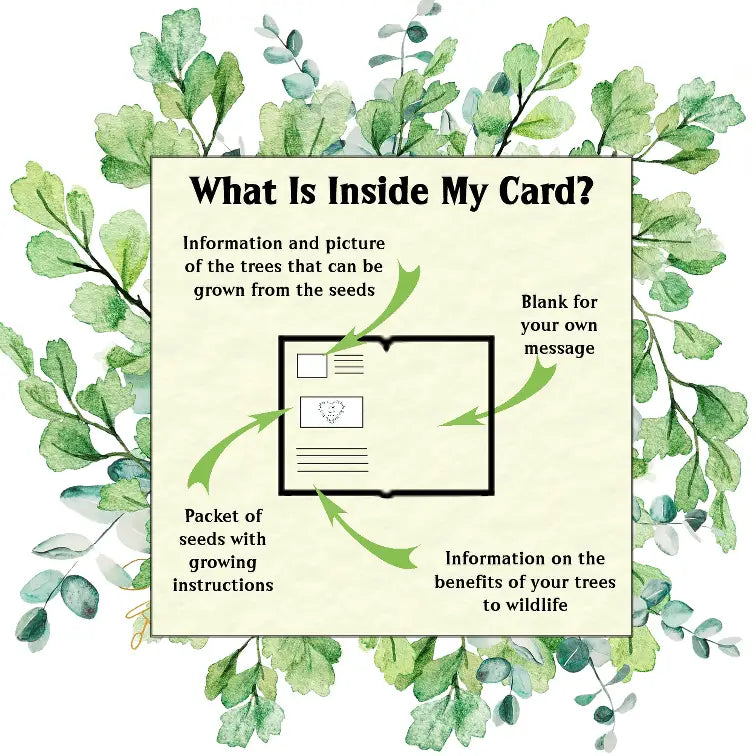 Trees Of The British Isles Seed Card