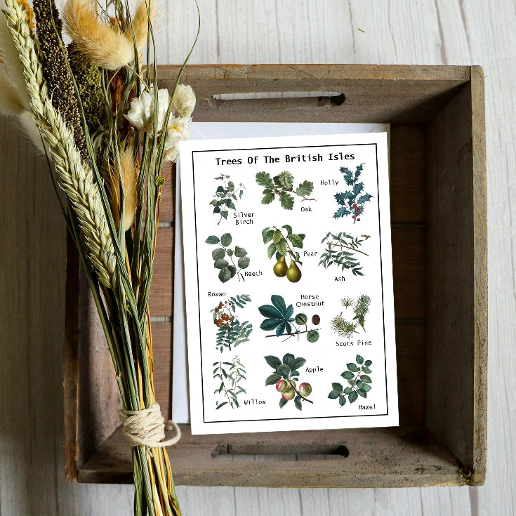 Trees Of The British Isles Seed Card