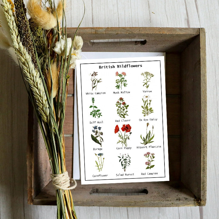 British Wildflowers Seed Card