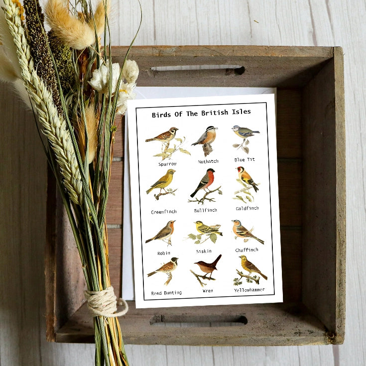 Birds Of The British Isles Seed Card