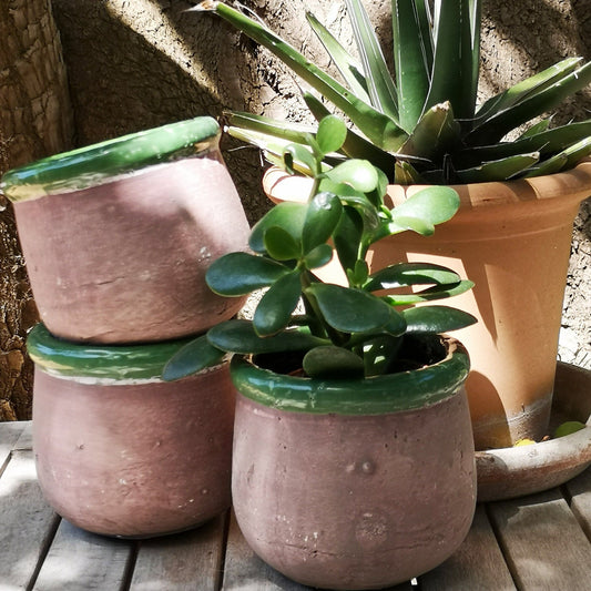 Green & Pink Rustic Pot