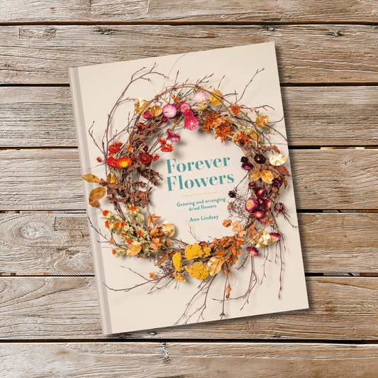 Forever Flowers - Ann Lindsay