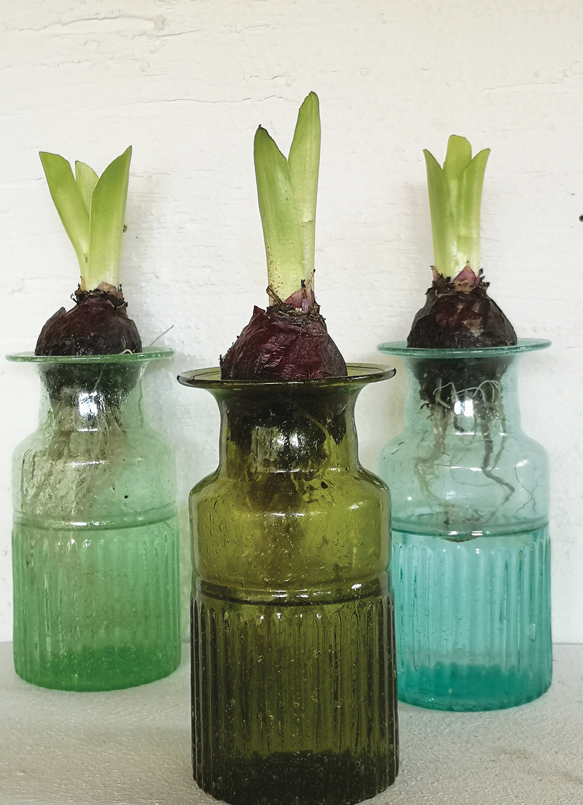 Recycled Glass Botanical Vase