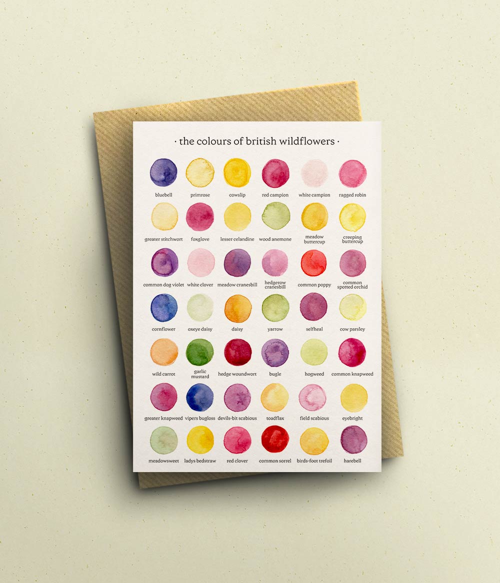 ‘The Colours of British Wildflowers’ Card